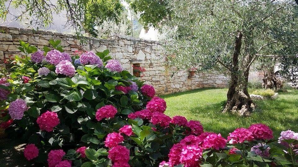 Apartments Villa Ina Brseč Εξωτερικό φωτογραφία